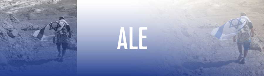 all programs